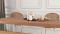 Napkin Holder for Table with Salt and Pepper Shakers Caddy, Black