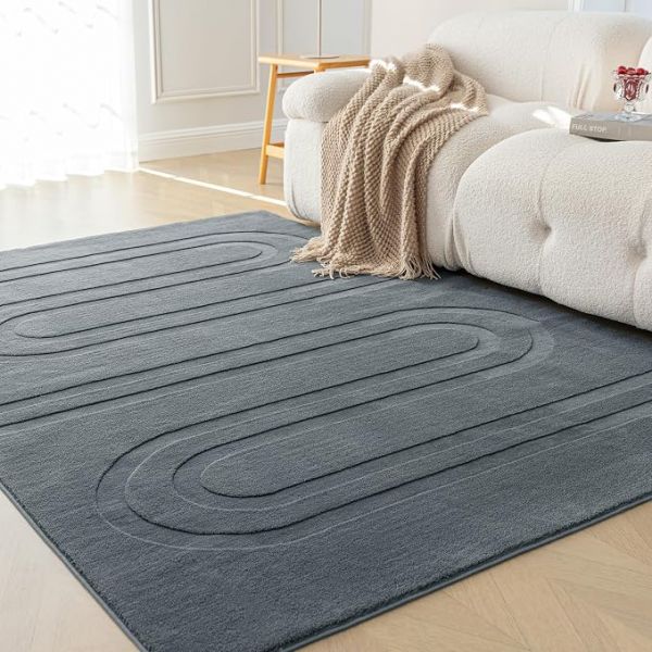 Amazon Basics Indoor Area Rugs, Soft-Touch Washable Home Decor Carpet for Living Room Bedroom, 10' L × 8' W, Modern Dark Grey