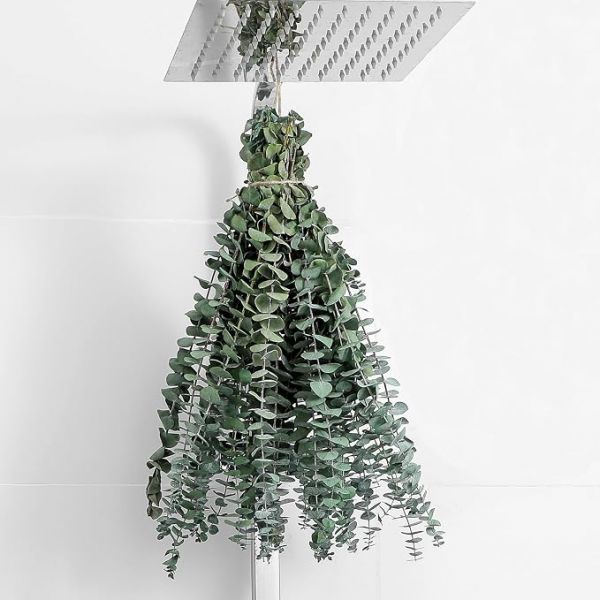 10 Pcs Dried Eucalyptus Stems 17" Real Eucalyptus for Shower Hanging